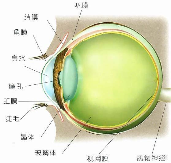闭角型青光眼能治好吗？