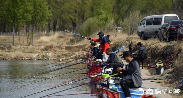 黑坑鮰鱼在什么位置:新水新池黑坑鲤鱼，个体2-3斤，钓鱼时有哪些注意事项？