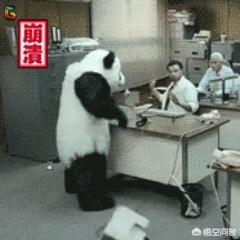 <a href=https://maguai.com/list/32-0-0.html target=_blank class=infotextkey>女性</a><a href=https://maguai.com/list/56-0-0.html target=_blank class=infotextkey>健康</a>险:<a href=https://maguai.com/list/56-0-0.html target=_blank class=infotextkey>健康</a>险有哪些险种，去哪里了解呀？