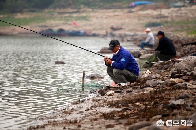 深水鱼图片及名称:请教野钓，深水如何钓鱼？