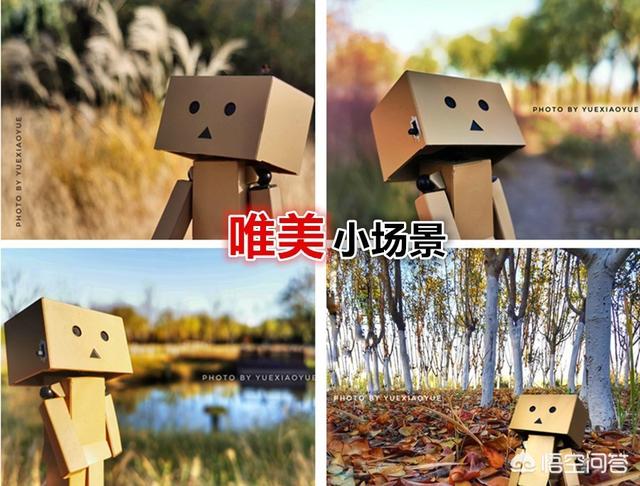 怎么从<a href=https://maguai.com/list/55-0-0.html target=_blank class=infotextkey>生活</a>中发现或者创造出小区域摄影美景你有技巧可分享吗