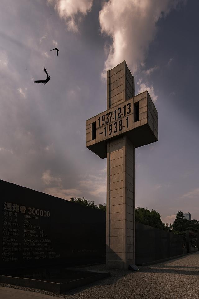 武强发现震旦鸦雀:盐城有哪些值得去的旅游景点