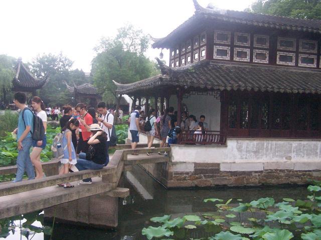 武强发现震旦鸦雀:盐城有哪些值得去的旅游景点
