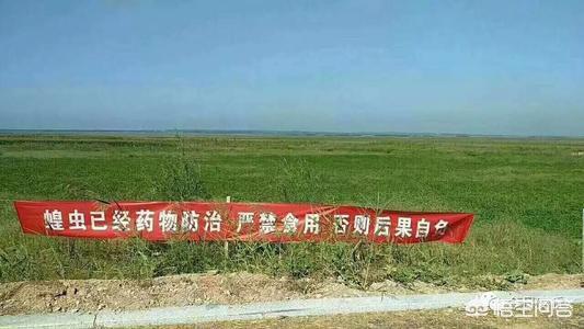 印度紧急修法:印度急购俄制战机是否有用