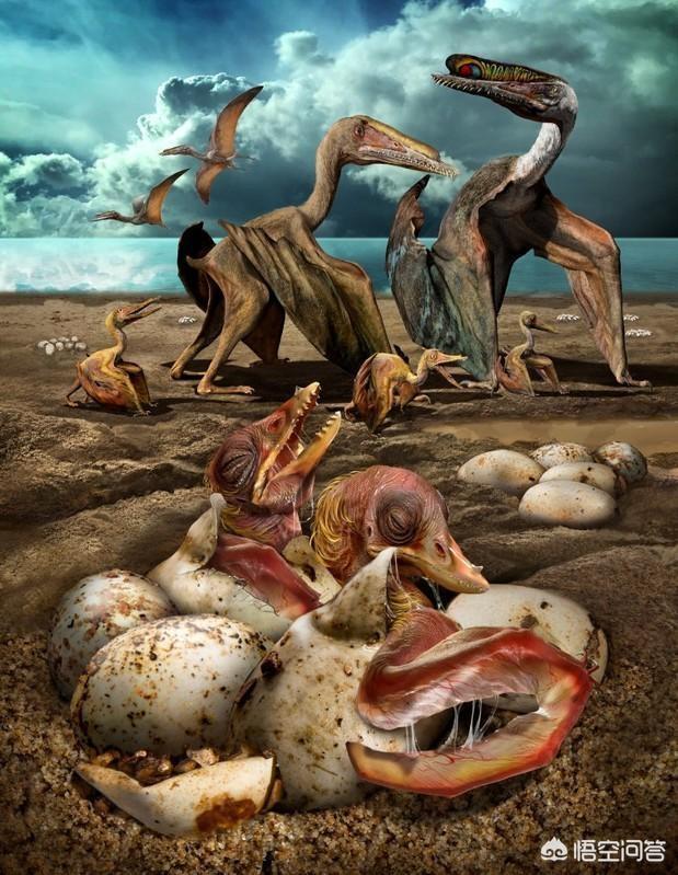 请问在恐龙时代,翼龙是怎么可能在天空上飞的呢?它没有羽毛吗?