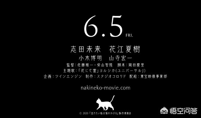 冈田纯一:如何评价动画剧作家冈田麿里