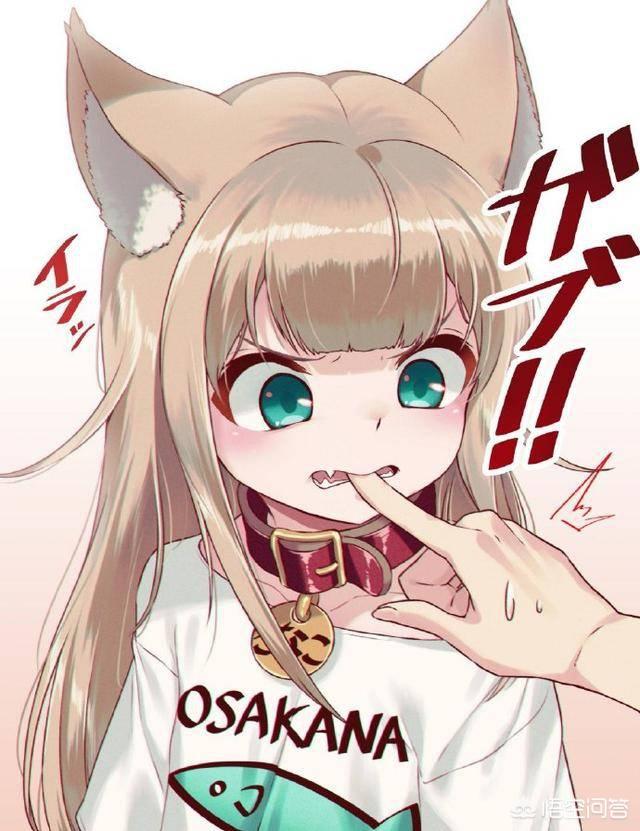 猫娘计划博客:猫娘计划吧 当猫真的变成真人猫娘时会发生什么？