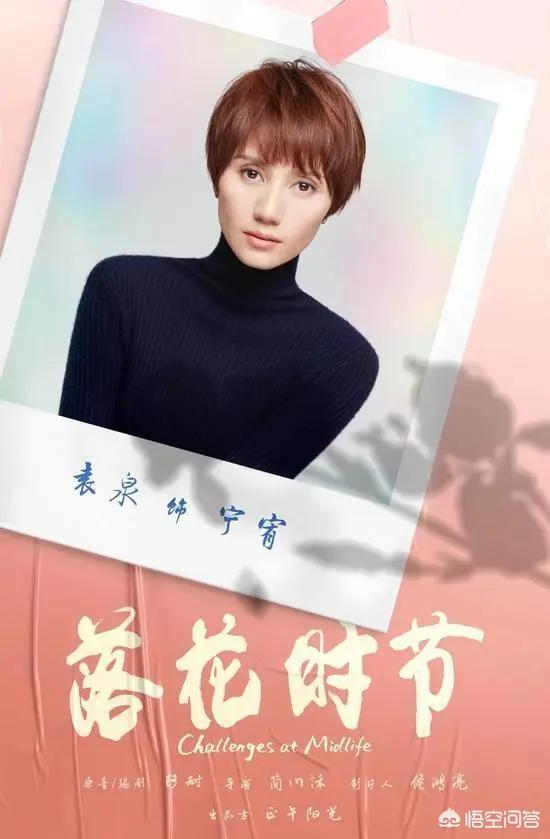 孙宁演过的电视剧:对雷佳音、袁泉主演的正午阳光新剧《落花时节》你怎么看？