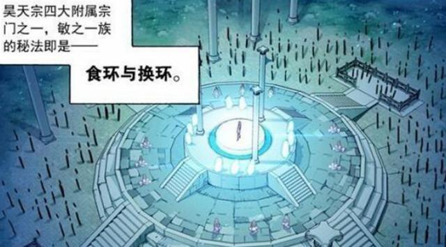 尖尾雨燕:斗罗大陆：魂环对魂师有什么用，魂环使用技巧有哪些？