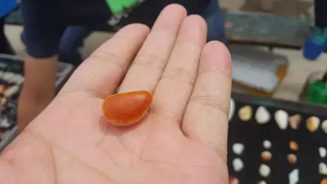 玉石都是在哪里挖的,你去过新疆和田的玉石集市巴扎吗？