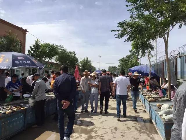 玉石都是在哪里挖的,你去过新疆和田的玉石集市巴扎吗？