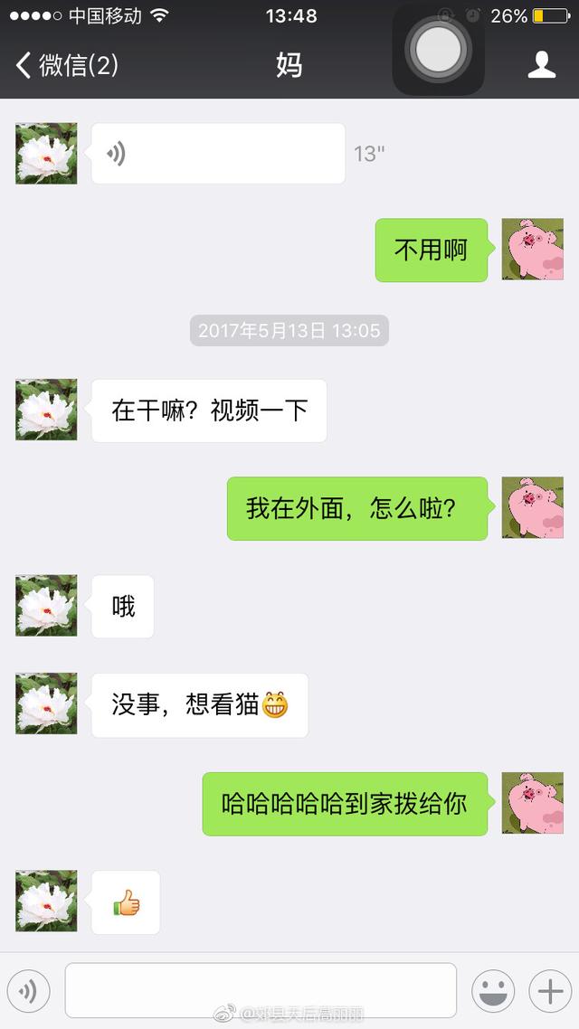 养狗这件事:养狗这件事日剧 养宠物可以让人心怀怜悯之心，你认同吗？