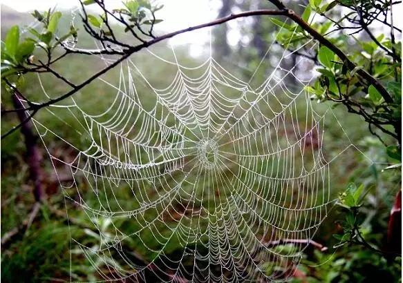 十大不值钱的玉石,有哪些裂纹的翡翠不值钱？