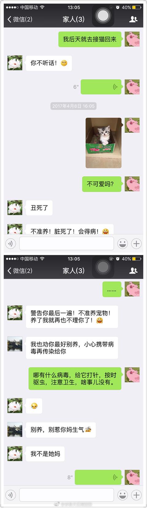 养狗这件事:养狗这件事日剧 养宠物可以让人心怀怜悯之心，你认同吗？