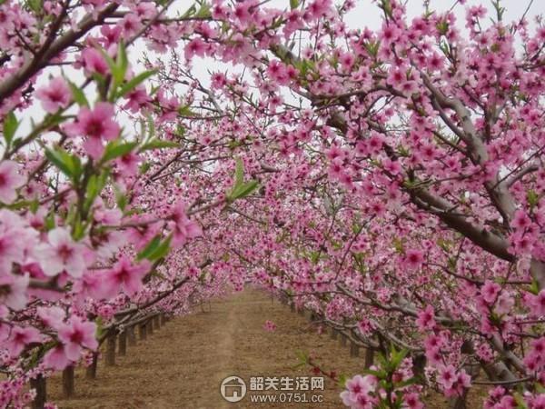 韶关户外群:韶关有哪些拍照的好地方？