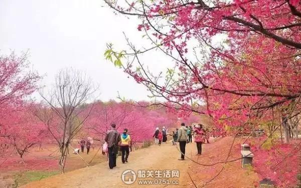 韶关户外群:韶关有哪些拍照的好地方？