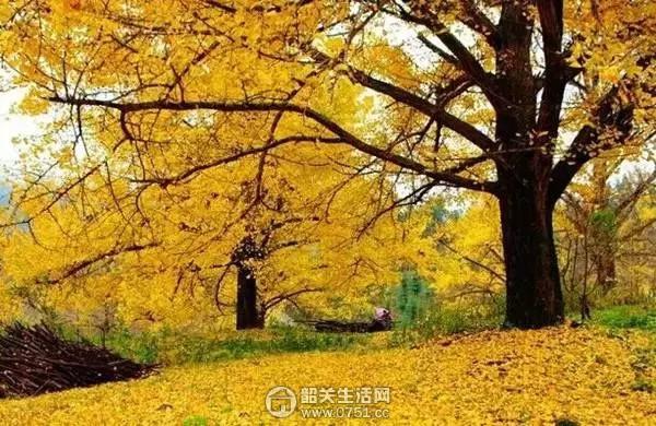 韶关户外群:韶关有哪些拍照的好地方？