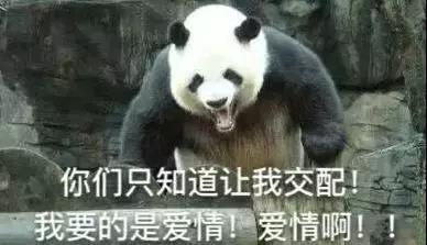 我想看一下小熊犬:想领养一个三岁的公狗比熊，请问它还会跟我熟悉起来吗？