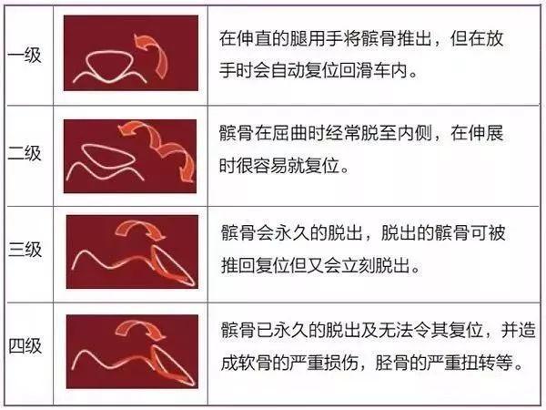 狗髋关节脱位 图片:柯基瘸腿的原因会是什么？