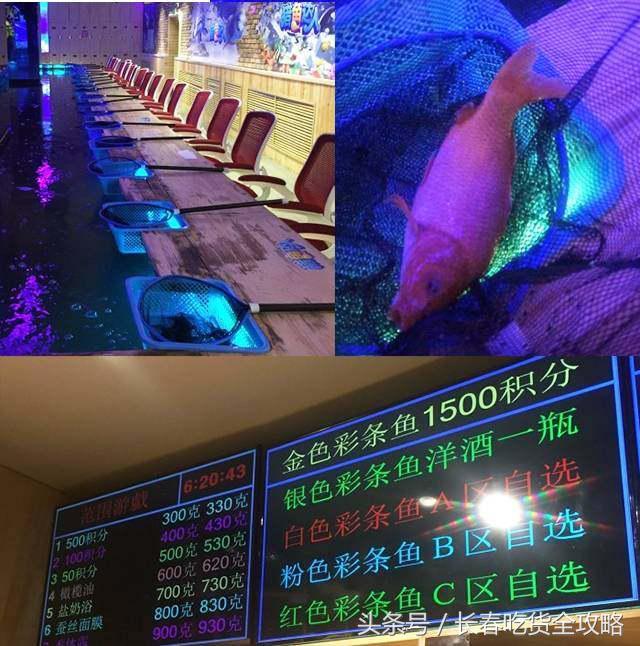 狗狗咖啡厅:狗狗咖啡厅创业计划书 为什么整个意大利都没有星巴克咖啡店？