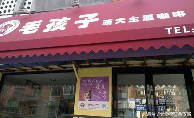 狗狗咖啡厅:狗狗咖啡厅创业计划书 为什么整个意大利都没有星巴克咖啡店？