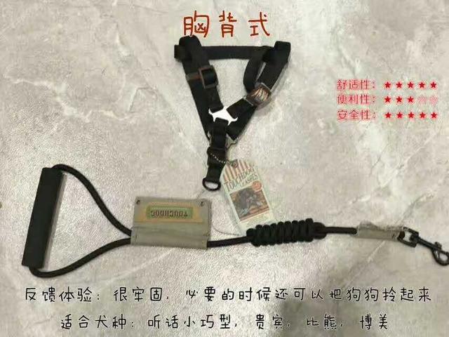 狗狗向前冲:为什么带狗狗去遛弯，狗狗就会回头看下主人呢？