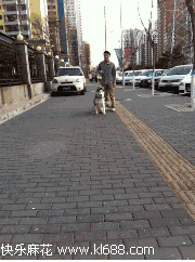 狗狗向前冲:为什么带狗狗去遛弯，狗狗就会回头看下主人呢？