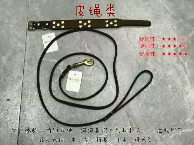 狗狗向前冲:为什么带狗狗去遛弯，狗狗就会回头看下主人呢？
