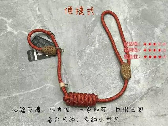 狗狗向前冲:为什么带狗狗去遛弯，狗狗就会回头看下主人呢？