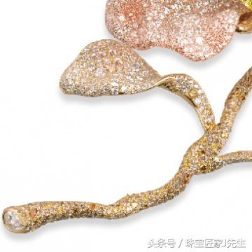 邓文迪章子怡:如何评价时尚集团总裁苏芒？