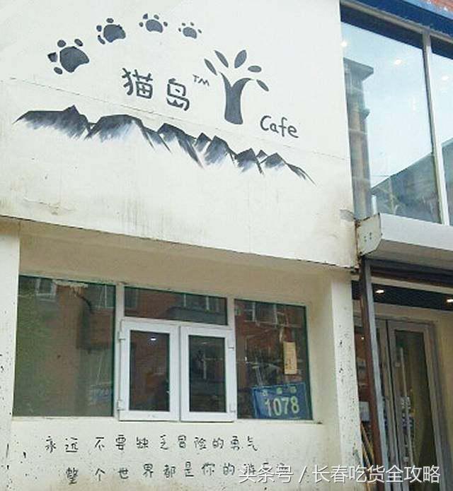 狗狗咖啡厅:狗狗咖啡厅创业计划书 为什么整个意大利都没有星巴克咖啡店？