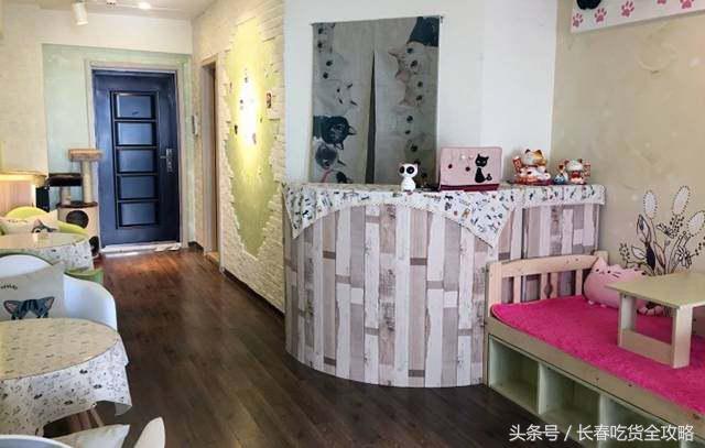 狗狗咖啡厅:狗狗咖啡厅创业计划书 为什么整个意大利都没有星巴克咖啡店？