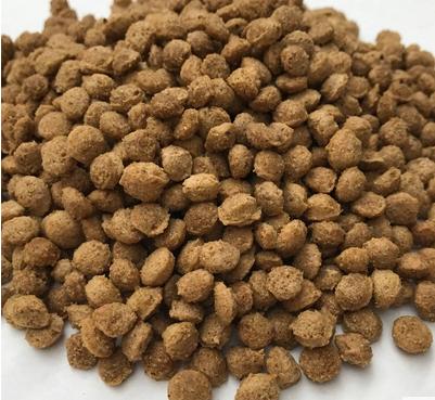 卷毛比熊犬饲养方法:比熊犬怎么饲养和护理呢？