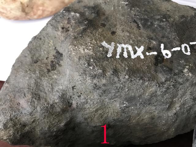 沙皮图片:翡翠的种在评价翡翠的价值方面究竟占多大比例？