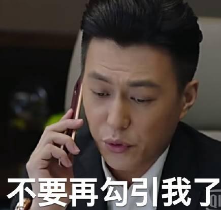 翟煦飞雷佳音结婚照:雷佳音为什么被称为前夫哥