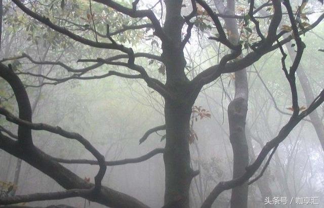 四川瓦屋山迷魂凼:中国的“死亡禁地”都有哪些？