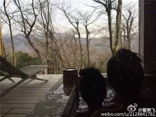 翟煦飞雷佳音结婚照:雷佳音为什么被称为前夫哥
