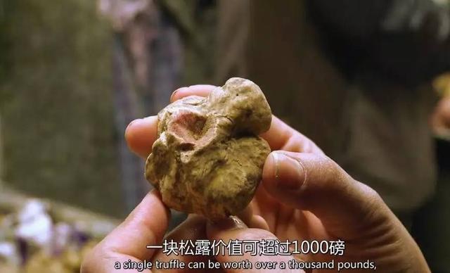 影片剧照
