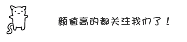 露莎莉斑马纹保暖背心:秋冬季节可以选择什么样的连衣裙？