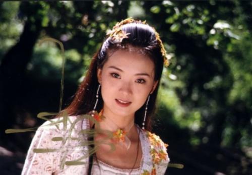 王艳的老公王志才:古装剧《武林外史》里的几大主演，现在都还在一线吗？