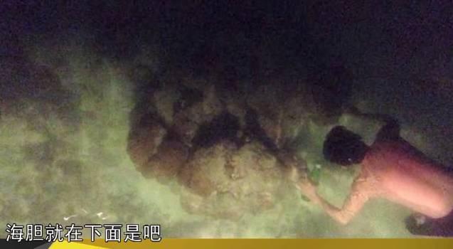 翟煦飞雷佳音结婚照:雷佳音为什么被称为前夫哥
