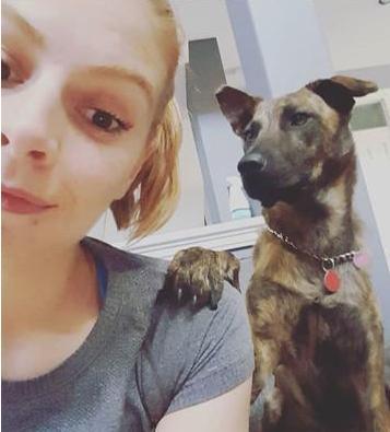 昆明犬虎斑犬串:在国外很火的“中国犬”有哪些？