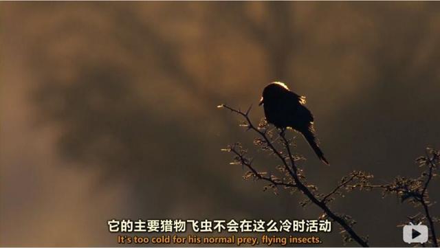 鸟人爱宅 是什么网站:程序员都很宅吗？他们平时都做什么？