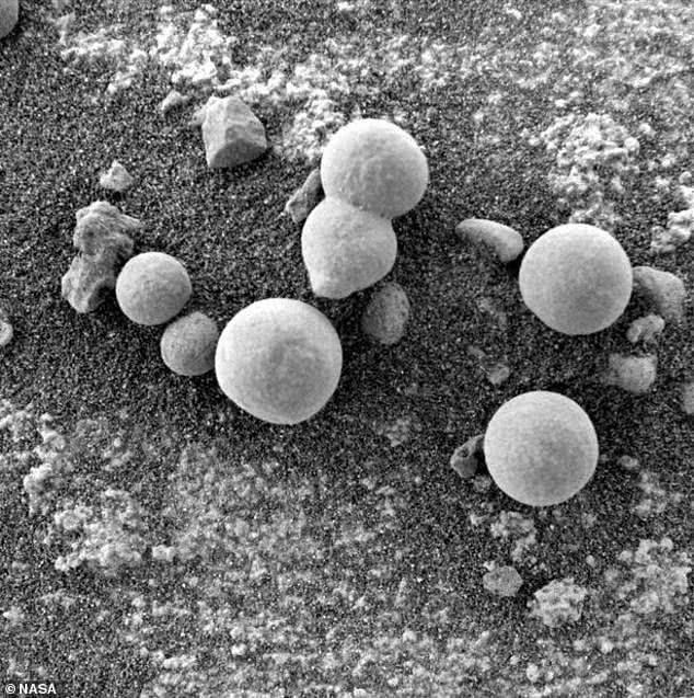 火星发现外星女人，科学家官宣！疑似发现火星蘑菇，我们离外星生命近了吗
