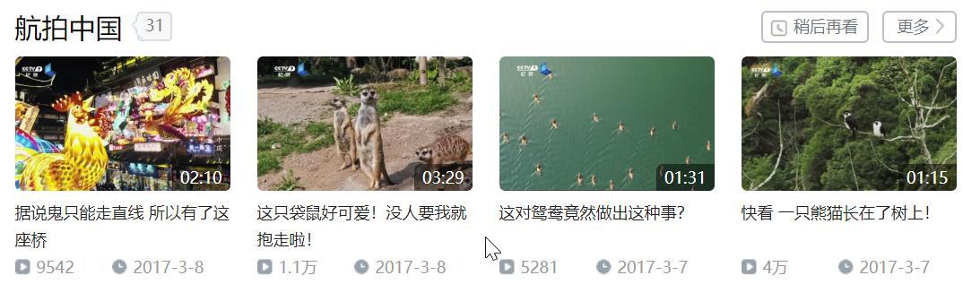 草莓为爱而生app下载:都说b站是个很牛的网站，弱弱的问一句牛在哪？