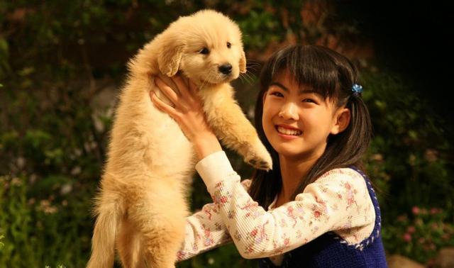 色狗狗电影:除了一条狗的使命、忠犬八公，还有哪些好看的主角是狗狗的电影？