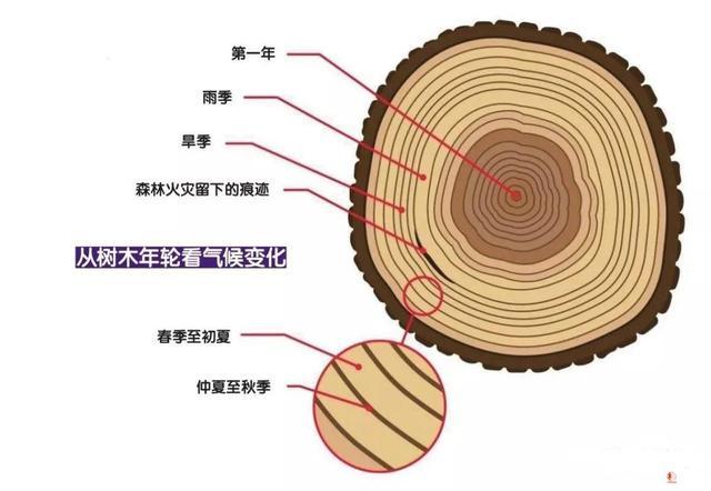 任豪大海和月亮的故事:九百多年的手稿记载月亮曾消失数月，到底是什么原因？