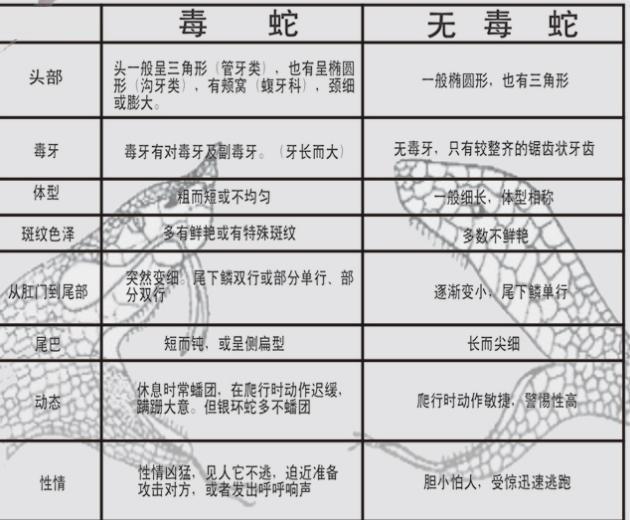 有2米的舟山眼镜蛇吗:银环蛇和眼镜蛇哪种更毒？