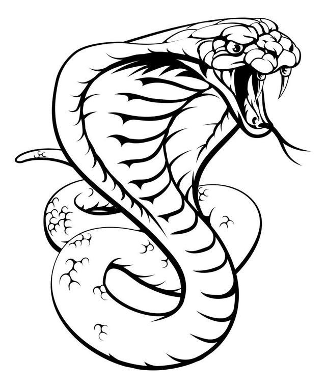 银环蛇有毒吗:银环蛇有毒吗 蛇吧 陕西21岁女孩被银环蛇咬伤致死，你认为谁应该为此负责？
