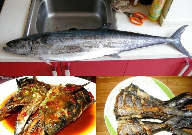 青岛海鱼的种类图片:潮汕海鱼的种类图片及名称 除夕，在青岛吃哪种鱼会比较有地域特色？
